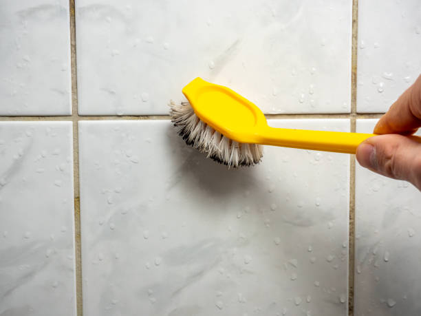 Best Water Damage Restoration  in Wooster, OH