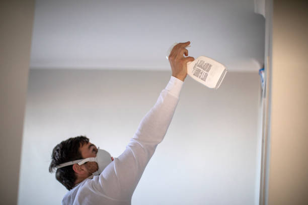 Best Fast Mold Removal  in Wooster, OH