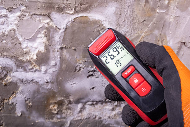 Best Certified Mold Removal  in Wooster, OH