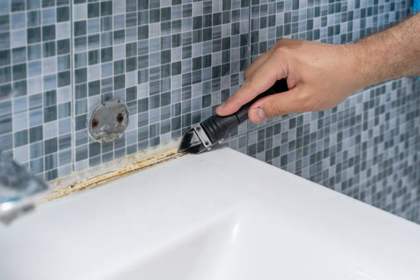 Best Residential Mold Removal  in Wooster, OH