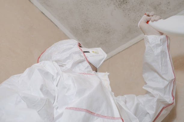 Best Professional Mold Removal  in Wooster, OH